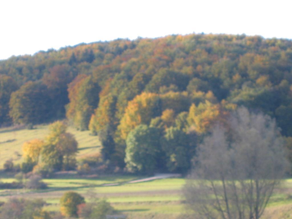 Gasthof Zum Lamm Gomadingen Esterno foto